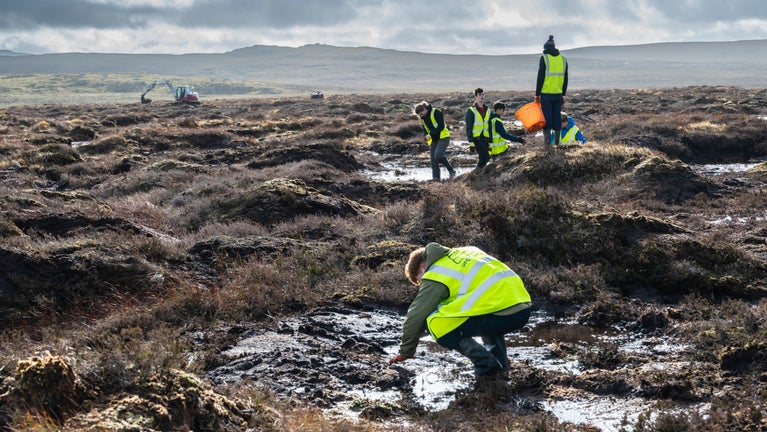 Peatland restoration in Eryri